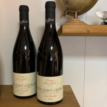 BOURGOGNE NUITS SAINT GEORGES - LES DAMODES - 2022